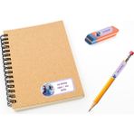 Kutu Ambalaj Okul Etiketi Defter, Kalem Sticker Elsa Frozen 112 Adet