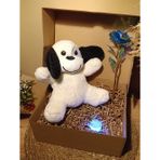 Kutulu Hediye Seti / Peluş Köpek 24cm - Renk Değiştiren Işıklı Anahtarlık - Sonsuzluk Gülü