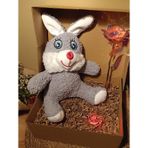 Kutulu Hediye Seti / Peluş Tavşan 30cm - Renk Değiştiren Işıklı Anahtarlık - Sonsuzluk Gülü