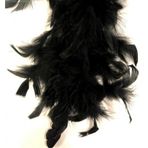 Kuzey 100 Adet Siyah Kuş Tüyü Black Bırd Feather Siyah Şeffaf Balon Tüyü Dekoratik Siyah Süsleme Tüyü