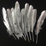 Kuzey 10Adet Metalik Parlak Gümüş Kuş Tüyü Gümüş Kuş Tüyü Decorsilver Bırd Feather Gümüş Şeffaf Balon Tüyü