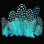 Kuzey 50 Adet Puantiyeli Mavi Siyah Kuş Tüyü Mavi Kuş Tüyü Decor Blue Bırd Feather Mavi Şeffaf Balon Tüyü
