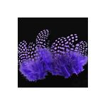 Kuzey 50 Adet Puantiyeli Mor Siyah Kuş Tüyü Mor Kuş Tüyü Decor Purple Bırd Feather Mor Şeffaf Balon Tüyü