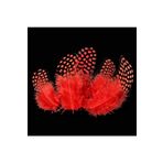 Kuzey 50Adet Puantiyeli Kırmızı Siyah Kuş Tüyü Kırmızı Kuş Tüyü Red Bırd Feather Kırmızı Şeffaf Balon Tüyü