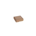 Kuzeykutu E Ticaret Orta Boy Hediye Kutusu 10,5x10x3 cm (0 Desi) - 100 Adet