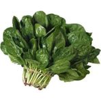 Kuzu Ispanak 100+ Tohum