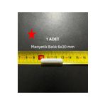Lab Manyetik Balık 6X30 mm - Boy:30 mm - Çap:6 mm