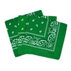 Laciteinterdite Erkek ve Kadınlar için 3'lü Şal Desenli Bandana Seti, 57 x 57 cm Tek Beden Koyu Yeşil