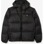 Lacoste Erkek Regular Fit Kapüşonlu Siyah Şişme Mont - 2XL