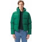 Lacoste Erkek Relaxed Fit Kapüşonlu Yeşil Mont - 132-Yeşil - 46