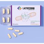 Lactofermin L-Glutamin-Çinko 30 Kapsül