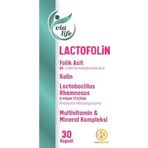 Lactofolin Folik Asit, Kolin, Probiyotik, Multivitamin 30 Kapsül