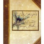 Lady Cottington's Pressed Fairy Book
