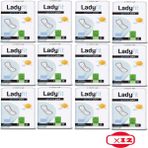 Ladyfit Normal Günlük Ped 40'lı x 12 Paket 480 Adet Kokusuz ve Rahat Kullanım - 40'lı x12 Paket (480 Adet)
