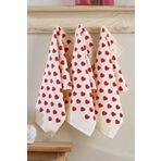 LADYNİL Mutfak Havlusu 30x50 %100 Pamuk 3 Lü Set