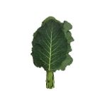Lahana Sarmalık Yaprak Karadere Tohumu Paket 10 Gram