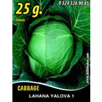 Lahana Tohumu Yalova 1 (Beyaz) - 25 G. (~ Takribi 3250 Tohum)