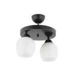 Lambadar Modern Beyaz Camlı Model Ikili Yuvarlak Plafonyer Avize Salon Mutfak Yatak Odası Hol Siyah2Yuv Tek Ebat 30 X 30 3551-2Blkyuv-110A1
