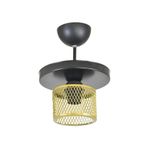 Lambadar Tekli Kafes Model Modern Plafonyer Avize Gold Tek Ebat 3541-1Goldyuvkafes