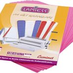 Lamiess 100'lü Pembe A-4 300 Mıc. Pp Cilt Kapağı