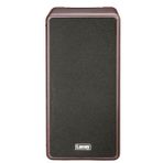 Laney A-DUO 2x8 Akustik Gitar Amfisi