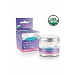 Lansinoh Organik 60 ml Göğüs Ucu Balmı