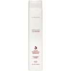 Lanza Healing Colorcare Preserving 300 ml Şampuan