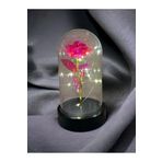 Lapidaria Fanus Içerisinde Dekoratif Rgb Peri Led Işıklı Solmayan Pembe Sonsuzluk Gülü Hediye Galaxy Lamba