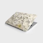 Laptop Sticker Bilgisayar Notebook Pc Kaplama Etiketi Yuvarlak Çiçek