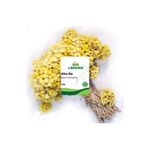 Laraska Altın Otu Demet 250g - Dwarf Everlasting