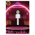 LaraThec Karaoke Mikrofon Aux Usb Ve Sd Kart Girişli Bluetooth Hoparlör Çocuklar İçin