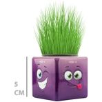 Larimar Çim Adam Mini Küp Emoji Figürlü 1 Adet
