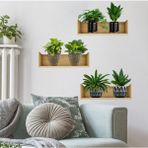 Larimar Raflı Bitki Tasarımlı Yapışkanlı Sticker 20*30 cm 3lü Set - 20 x 30 cm