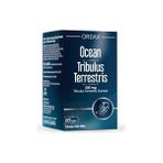 Larskas Orzax Tribulus Terrestris 500 Mg 60 Kapsül - 10