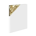 Larte 153522 40x60 cm Profesyonel Tuval