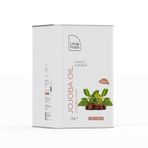 Las Frutas 18 lt Jojoba Yağı