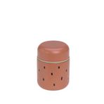 Lassig Happy Prints Caramel Çocuk Yemek Termosu