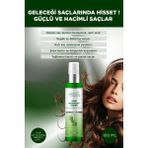 Last Touch Doğal Biberiye Suyu 100 ml Vegan Saç Bakımı Tüm Saç Tipleri İçin Dökülmeye Karşı