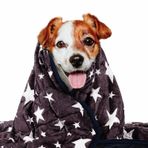 LaSyL Ağırlıklı Köpek Battaniyeleri | Premium Yumuşak Minky Kumaş | Rahatlama ve Sakinleştirici & Anti Anksiyete ve Gök Gürültüsü Evcil Kedi için | Arabada, Yatakta, Kanepede Kullanılır | Mavi Gri