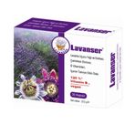 Lavanser 30 Kapsül