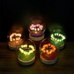 Lavly LED Işıklı Lale Cam Fanus Dekoratif Aydınlatma Süs Eşyası