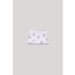 Layette BG Store Erkek Bebek Desenli Bere