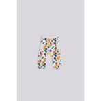 Layette Erkek Bebek Desenli Eşofman Altı - 2 Yaş - Karışık