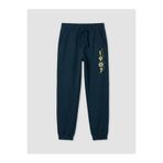 LC Waikiki Fenerbahçe Baskılı Erkek Çocuk Jogger Eşofman Altı (S6)