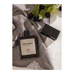LC Waikiki Lcw Accessorıes Gentleman Edp Erkek Parfüm For Men Eue De 100 ml