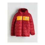 LC Waikiki LCW Kids Kapüşonlu Galatasaray Baskılı Erkek Çocuk Şişme Mont