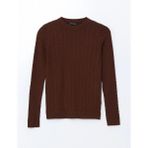 LC Waikiki Lcw Modest Kahverengi Bisiklet Yaka Kendinden Desenli Kadın Triko Kazak T T
