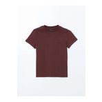 LC Waikiki LCW Vision Bordo Bisiklet Yaka Kadın Tişört