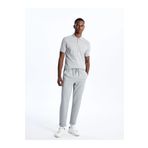 LC Waikiki LCW Vision Slim Fit Erkek Jogger Pantolon