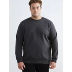 Lcwaıkıkı Classic Antrasit Büyük Beden Bisiklet Yaka Erkek Sweatshirt